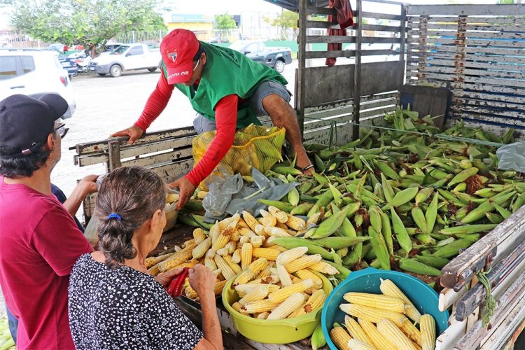 Preço da mão de milho em João Pessoa varia até R$ 30; consumidor pode economizar